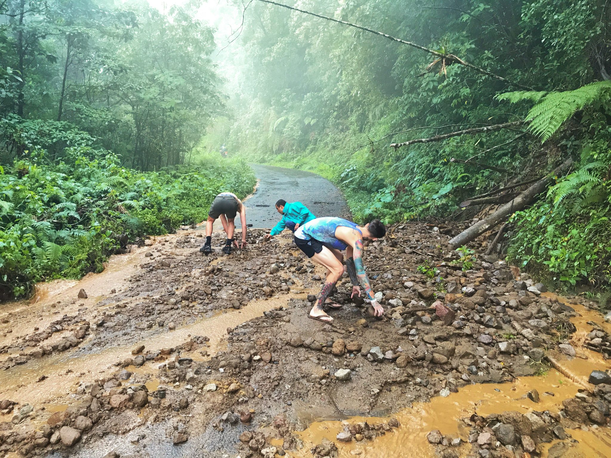 Catarata_del_toro_mudslide