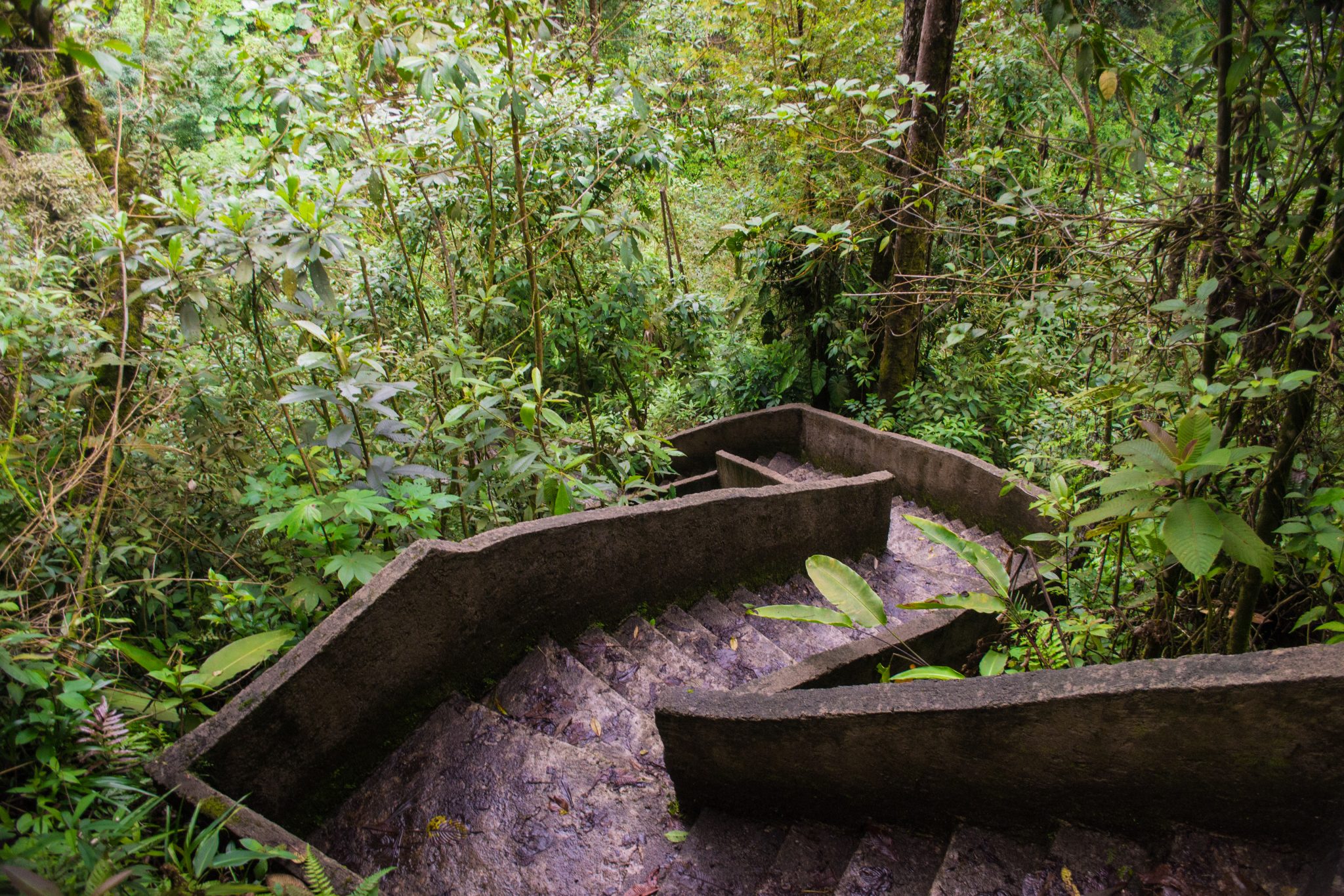 Catarata del Toro, Costa Rica, trail highest waterfall things to do