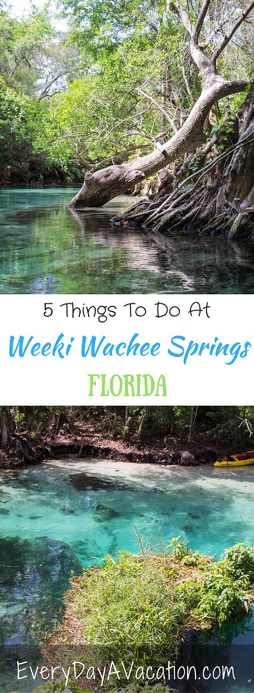 5 Things To Do At Week Wachee Springs, Florida