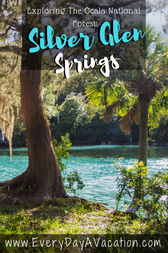 Exploring the Ocala National Forest: Silver Glen Spring, Florida