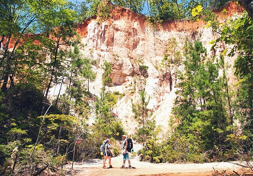 Providence Canyon, Georgia. Georgia's Little Grand Canyon