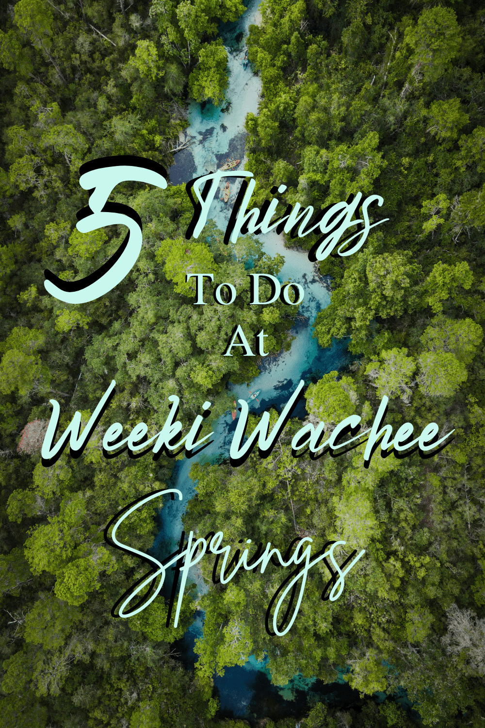 5 Things to do at weeki wachee springs