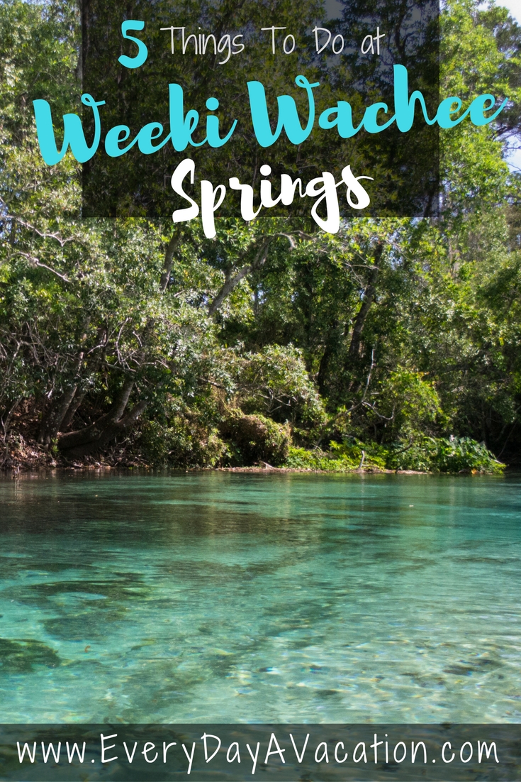 5 Things To Do At Week Wachee Springs, Florida