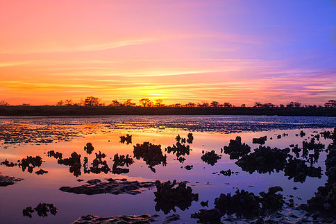 Glamping On Little Raccoon Key: Georgia's Cutest Private Island