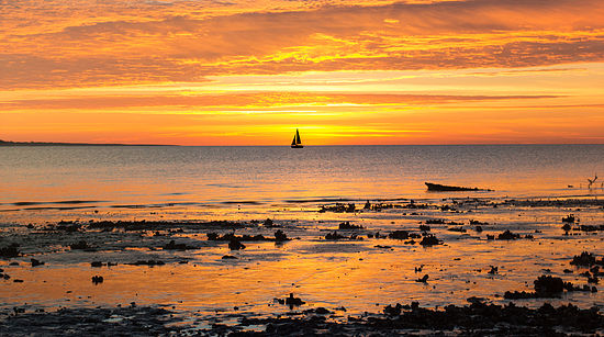 Glamping On Little Raccoon Key: Georgia's Cutest Private Island