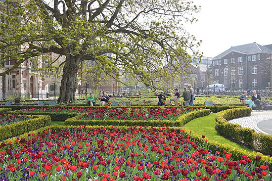 25 Things To Do In Amsterdam Under 5 Euros, Netherlands