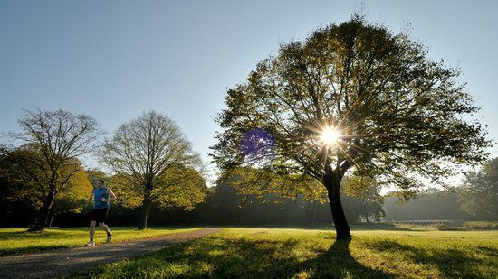 25 Things to do in Amsterdam under 5 euros, the Netherlands