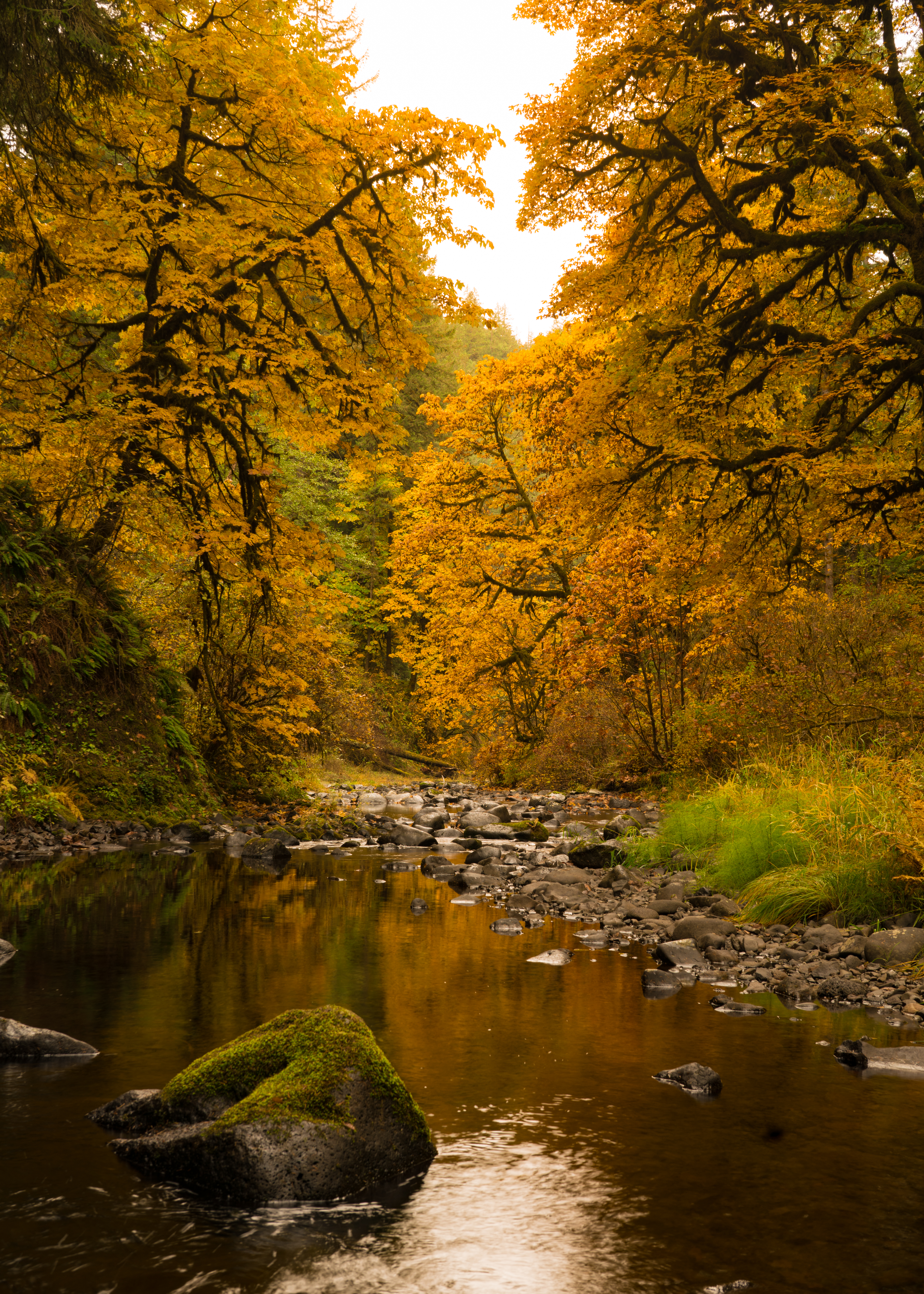 Hiking Oregon's Trail Of Ten Falls