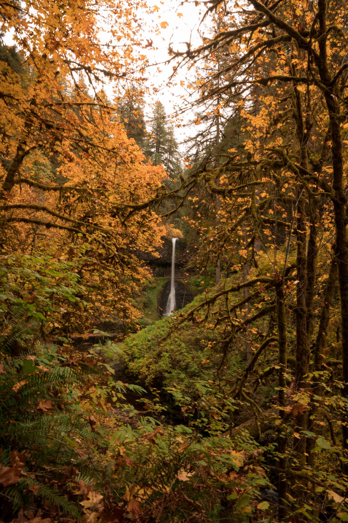 Hiking Oregon's Trail Of Ten Falls