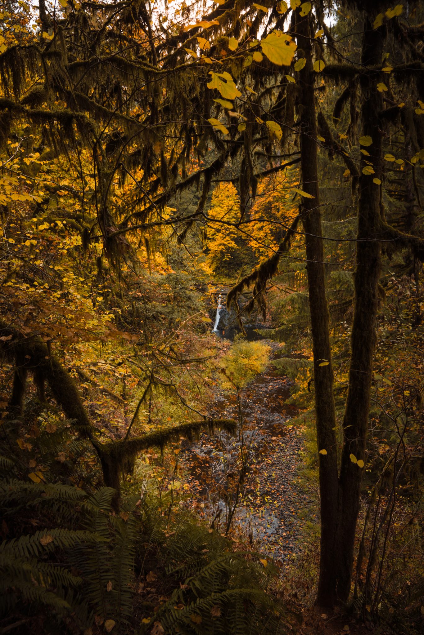Hiking Oregon's Trail Of Ten Falls