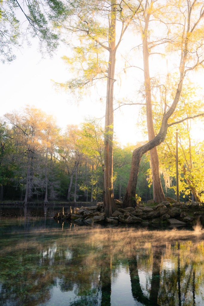 A Complete Guide To Camping at Ginnie Springs 5 A Complete Guide To Camping at Ginnie Springs