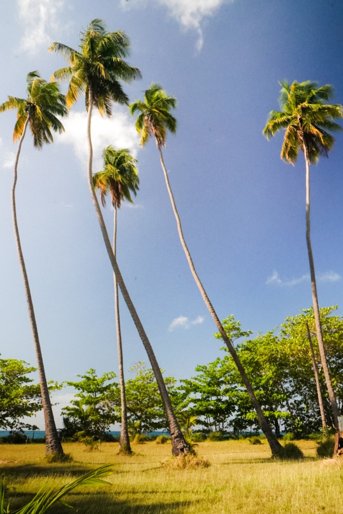 Tres Palmas - Puerto Rico's West Coast Beaches