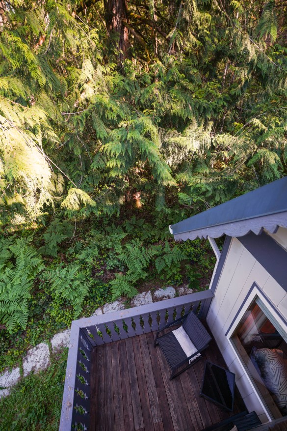 Hemlock Haven-21 AirBnb’s/Real Estate